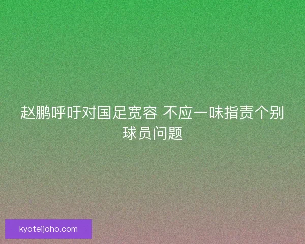 赵鹏呼吁对国足宽容 不应一味指责个别球员问题