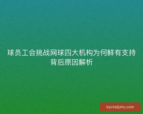 球员工会挑战网球四大机构为何鲜有支持背后原因解析